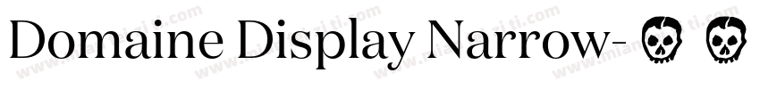 Domaine Display Narrow字体转换